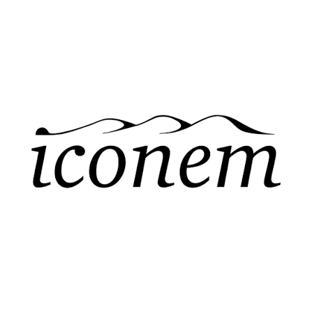 Iconem